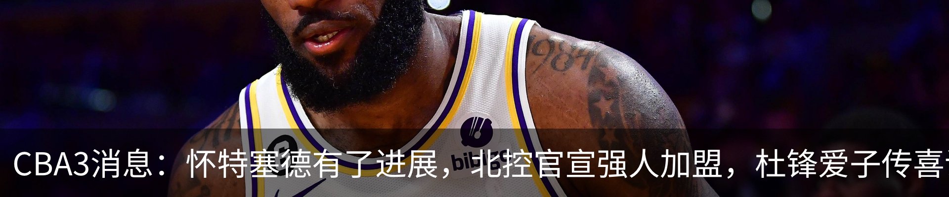 新闻动态